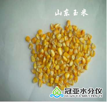 玉米水分仪