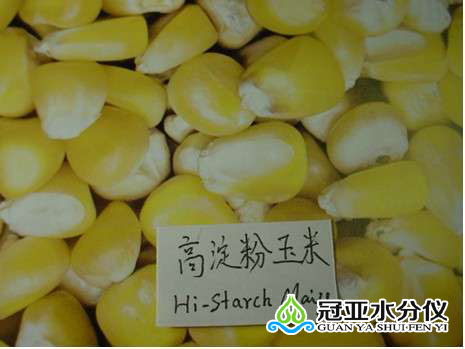 玉米水分分析仪