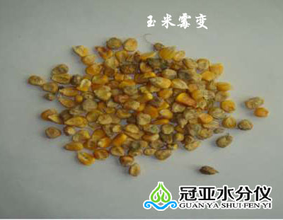 玉米水分测量仪