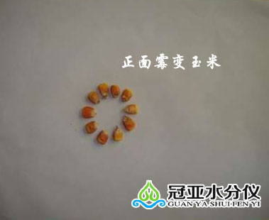 玉米测水仪,玉米水分监测仪