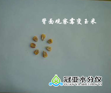 粮食玉米水分快速测定仪