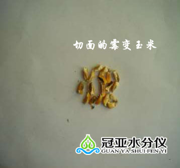 玉米,玉米标准