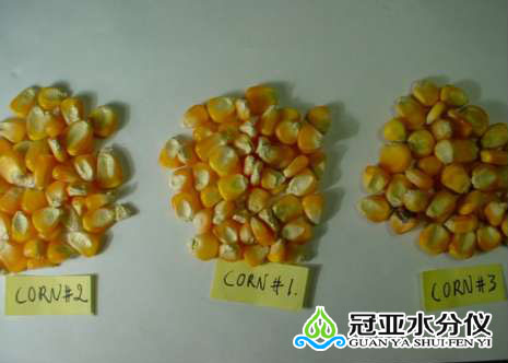 东北玉米水分测量仪