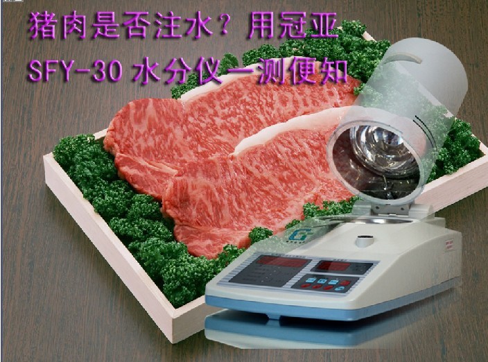 注水肉水分测定仪